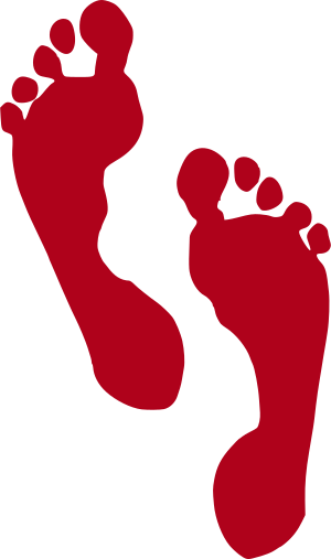 Logo Jin